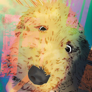 Meet your Posher, Yanely